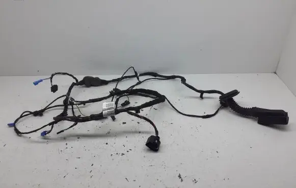 BMW 5 G30 G31 Front door wiring loom 2932072 G620533