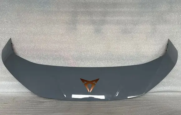Cupra Born Front bumper splitter molding 10E806333 01299033