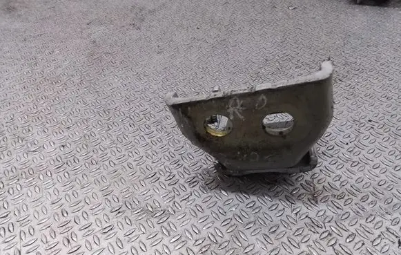 Citroen C4 I Front door lower hinge 
