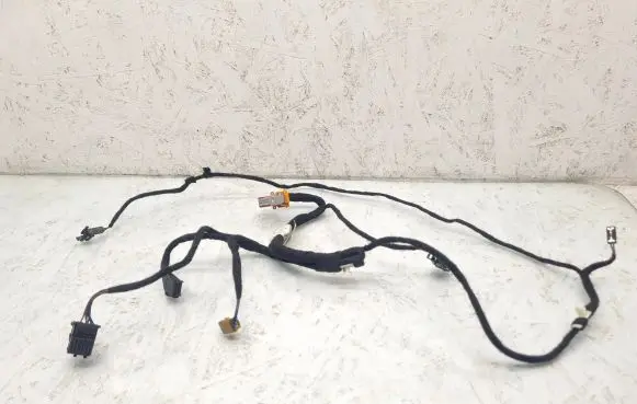 Front door wiring loom