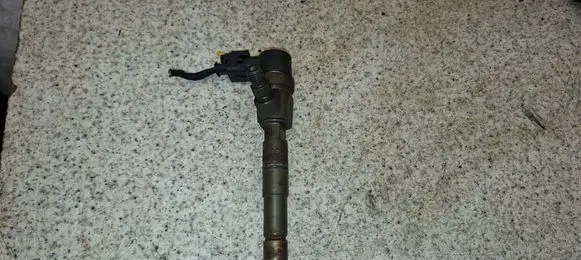 Opel Insignia A Fuel injector 0445110423 55577668