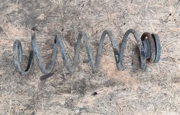 Rear coil spring