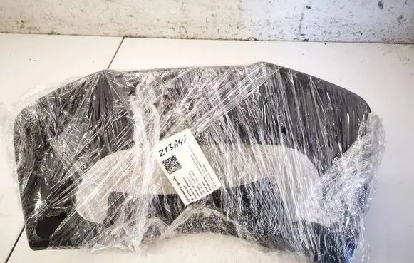 Toyota RAV 4 (XA40) Dashboard trim 5541042180