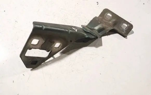 Renault Megane II Engine bonnet/hood hinges