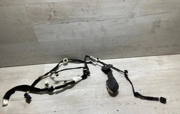 Dacia Sandero III Rear door wiring loom 241268485R