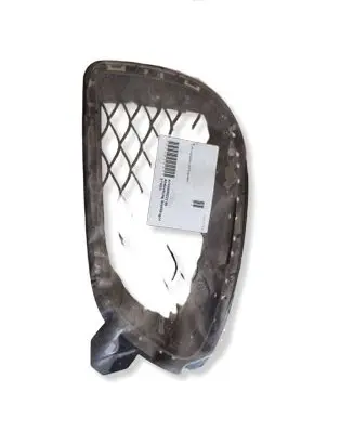 Mercedes-Benz AMG GT R190 C190 Front bumper lower grill A1908850222
