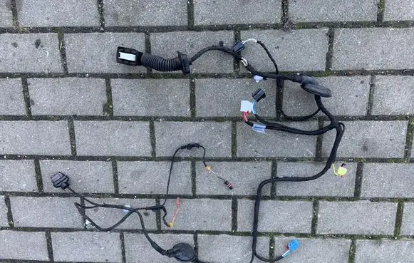 Audi Q5 SQ5 Front door wiring loom 80A971030E