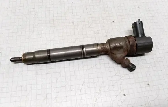 KIA Ceed Fuel injector 0445110256 338002A400