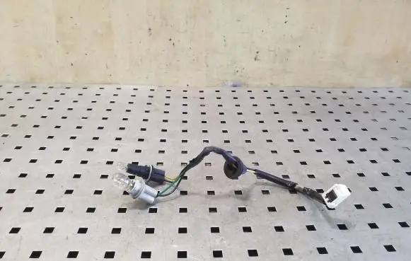 Tail light bulb cover holder