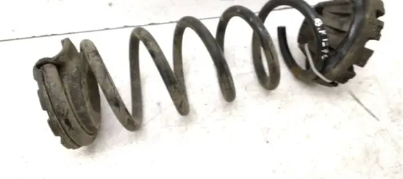 Rear coil spring