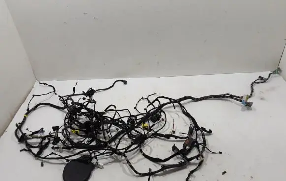Renault Espace V (RFC) Other wiring loom 241638191R