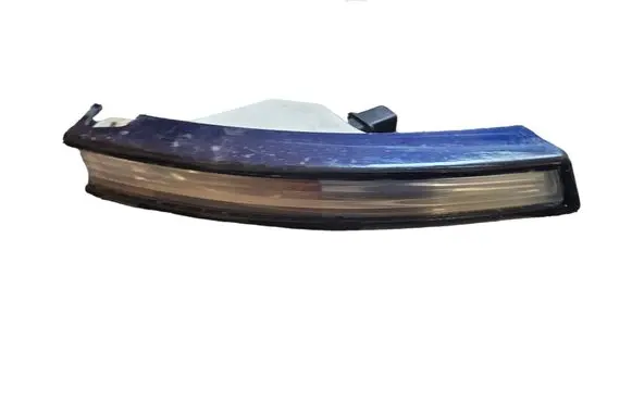 Volkswagen PASSAT B6 Front indicator light 3C0953042L