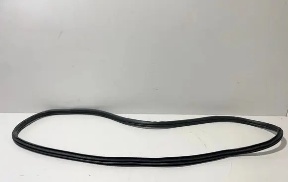 BMW 3 G20 G21 Rubber seal front coupe door 7407373 7497912