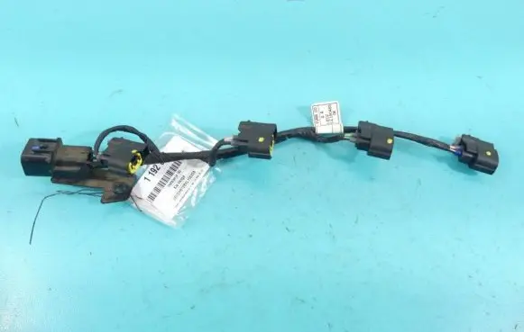 Other wiring loom