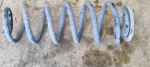Seat Toledo III (5P) Rear coil spring