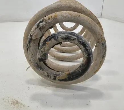 Rear coil spring