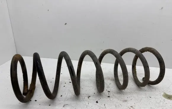 Rear coil spring