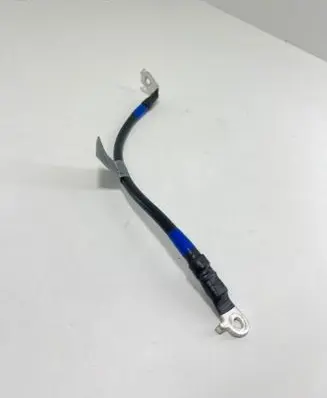 KIA EV6 Other wiring loom 91661CV000