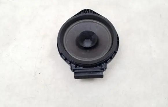 Front door speaker