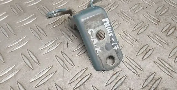 Rear door lower hinge