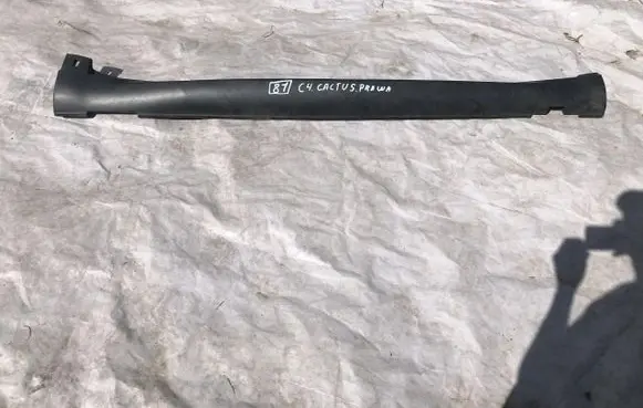 Citroen C4 Cactus Front sill (body part) 9801521780