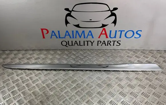Citroen DS3 Front door trim (molding) C0173Y10