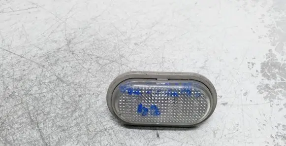 Front fender indicator light