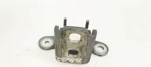 Rear door lower hinge
