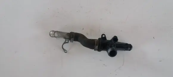 Thermostat/thermostat housing