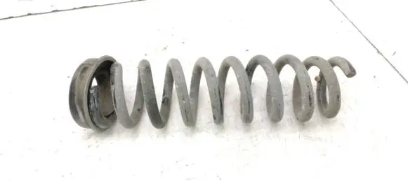 Rear coil spring