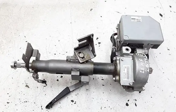 Electric power steering pump