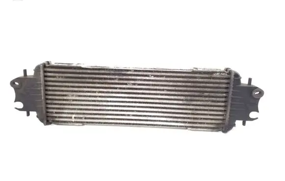 Opel Vivaro Intercooler radiator 7700312903