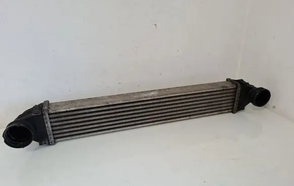 Mercedes-Benz A W169 Intercooler radiator A1695000000