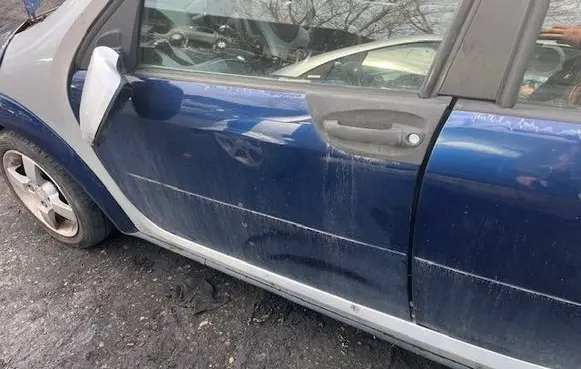 Smart ForFour I Front door 