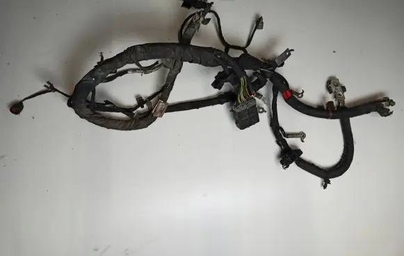 Ford Mustang VI Engine installation wiring loom