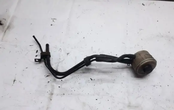 KIA Carnival Power steering fluid tank/reservoir