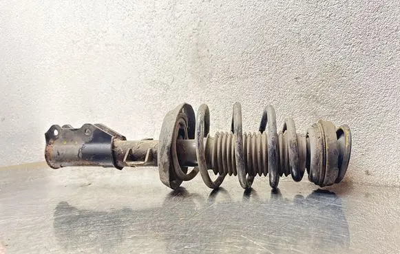 Opel Insignia A Front shock absorber with coil spring A4610501 13245969