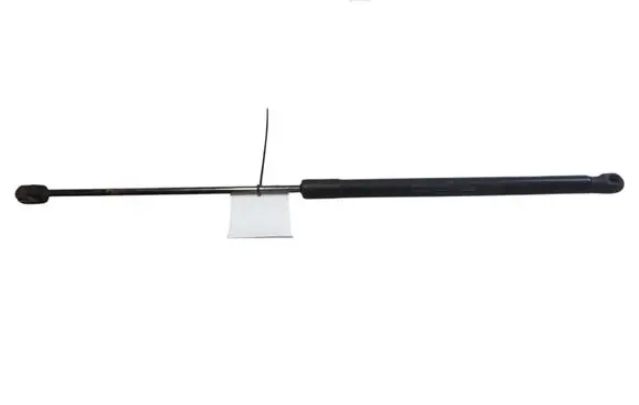 Tailgate/trunk strut/damper