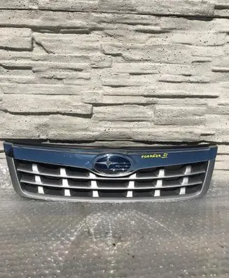 Front bumper upper radiator grill