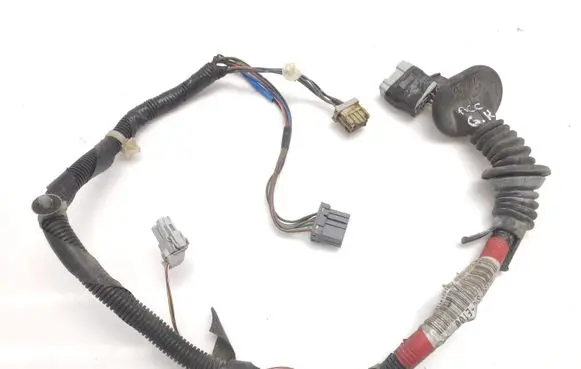 Rear door wiring loom