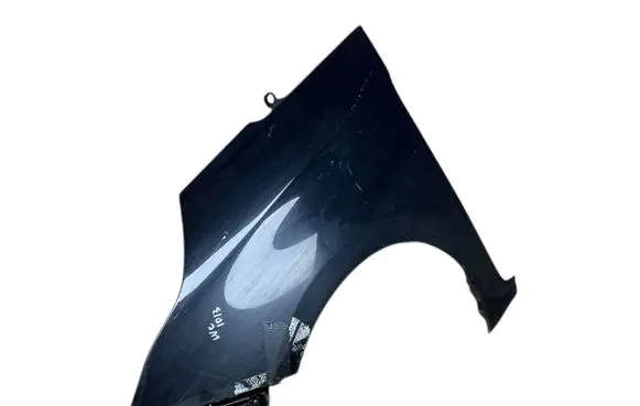 KIA Carens III Fender