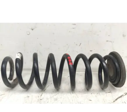 Volkswagen Tiguan Rear coil spring