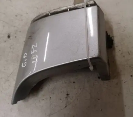 Rear/tail light trim molding