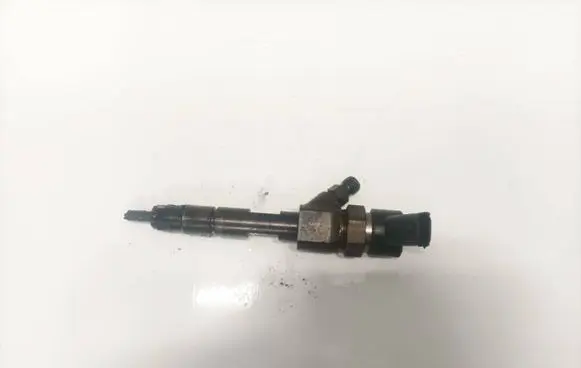 Renault Espace - Grand espace IV Fuel injector 0445110110b