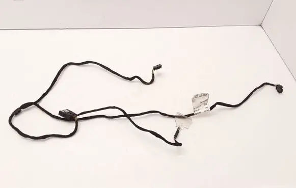 Front door wiring loom