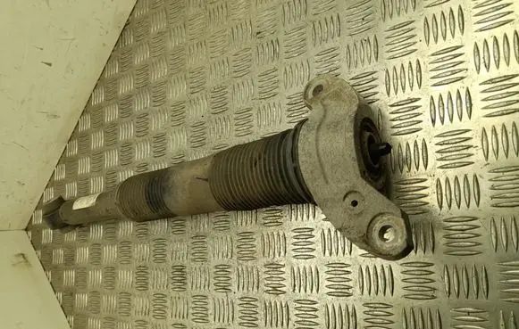 Land Rover Range Rover Evoque L551 Rear shock absorber/damper K8D218080AC