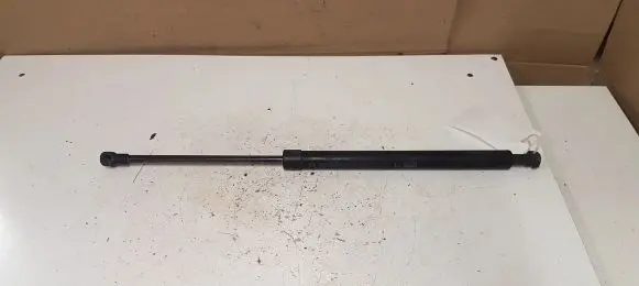 Tailgate strut