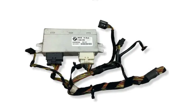 BMW X5 E53 Sunroof control unit/module 6955925