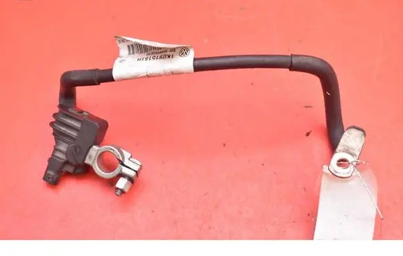 Other wiring loom