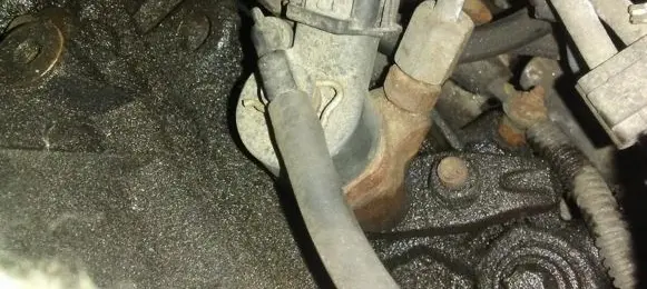 Peugeot Expert Fuel injector 0445110044 9637536080
